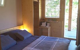 Chalet Tzarbonire